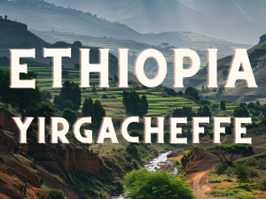ETHIOPIA Yirgacheffe