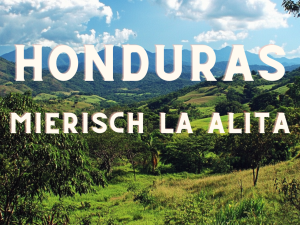 HONDURAS Fincas Mierisch La Lalita