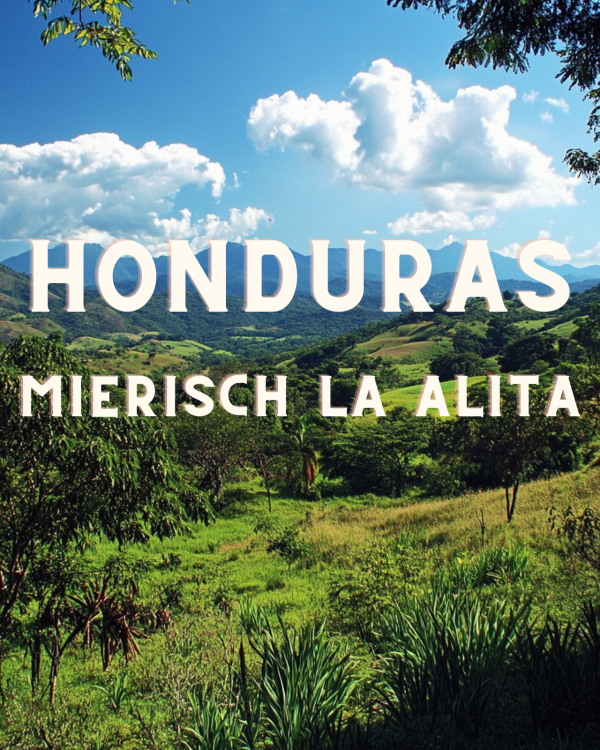 HONDURAS Fincas Mierisch La Lalita
