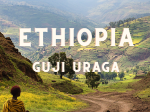 ETHIOPIA Guji Uraga
