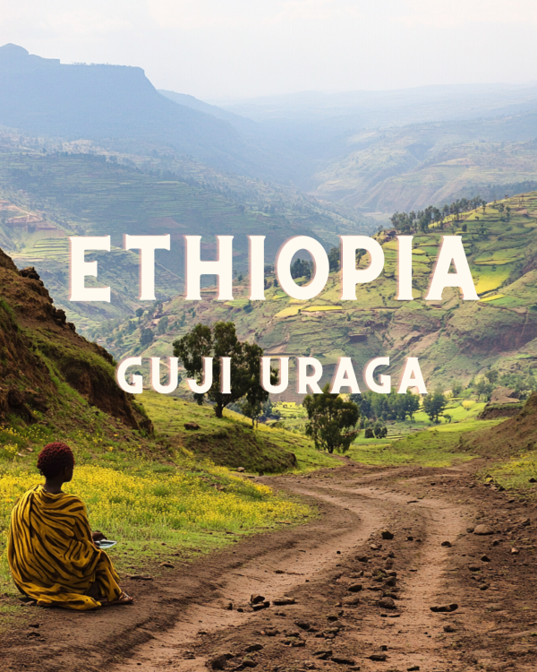 ETHIOPIA Guji Uraga