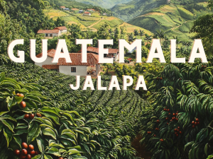 GUATEMALA Jalapa