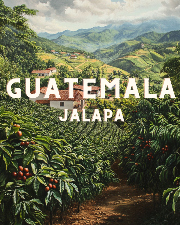 GUATEMALA Jalapa
