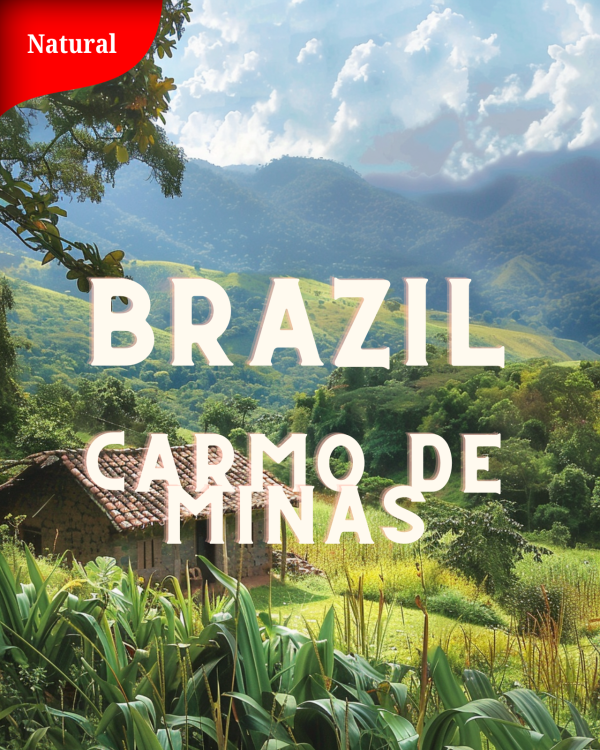 BRAZIL Carmo de Minas