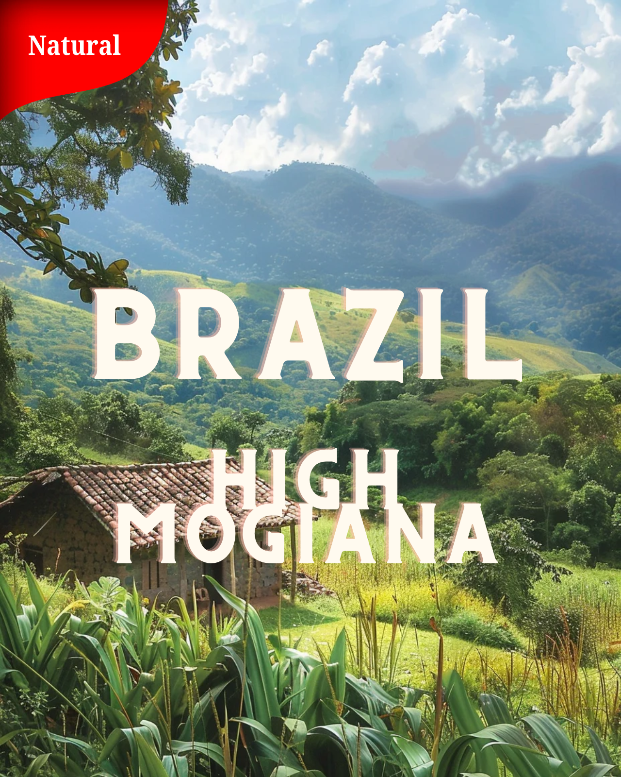 BRAZIL High Mogiana