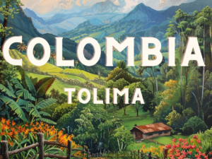 COLOMBIA Tolima