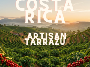 COSTA RICA Artisan Tarrazu