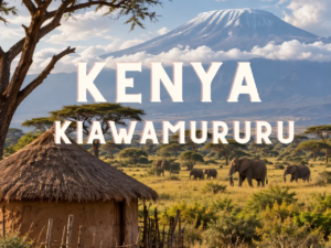 KENYA Nyeri Kiawamururu