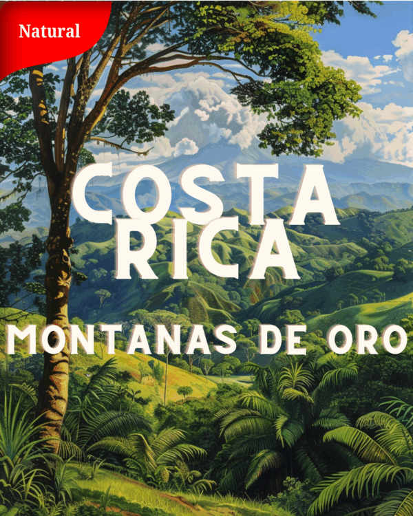 COSTA RICA Montanas de Oro SP (NAT)