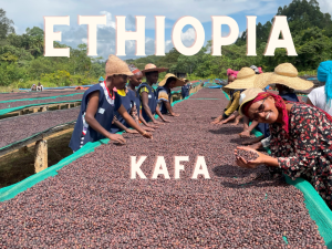 ETHIOPIA Kafa
