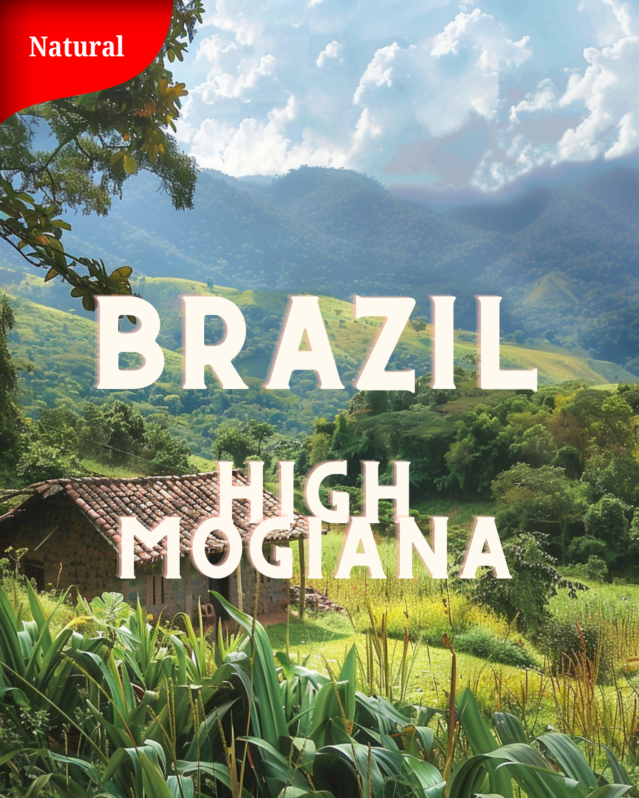 БРАЗИЛИЯ - High Mogiana
