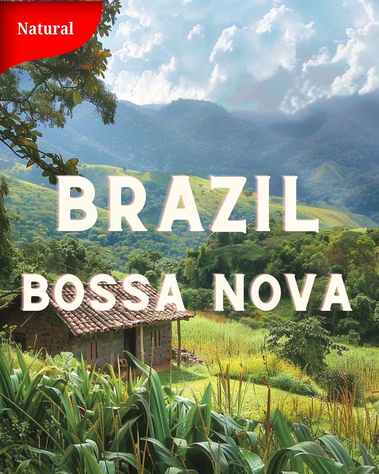 БРАЗИЛИЯ - BOSSA NOVA