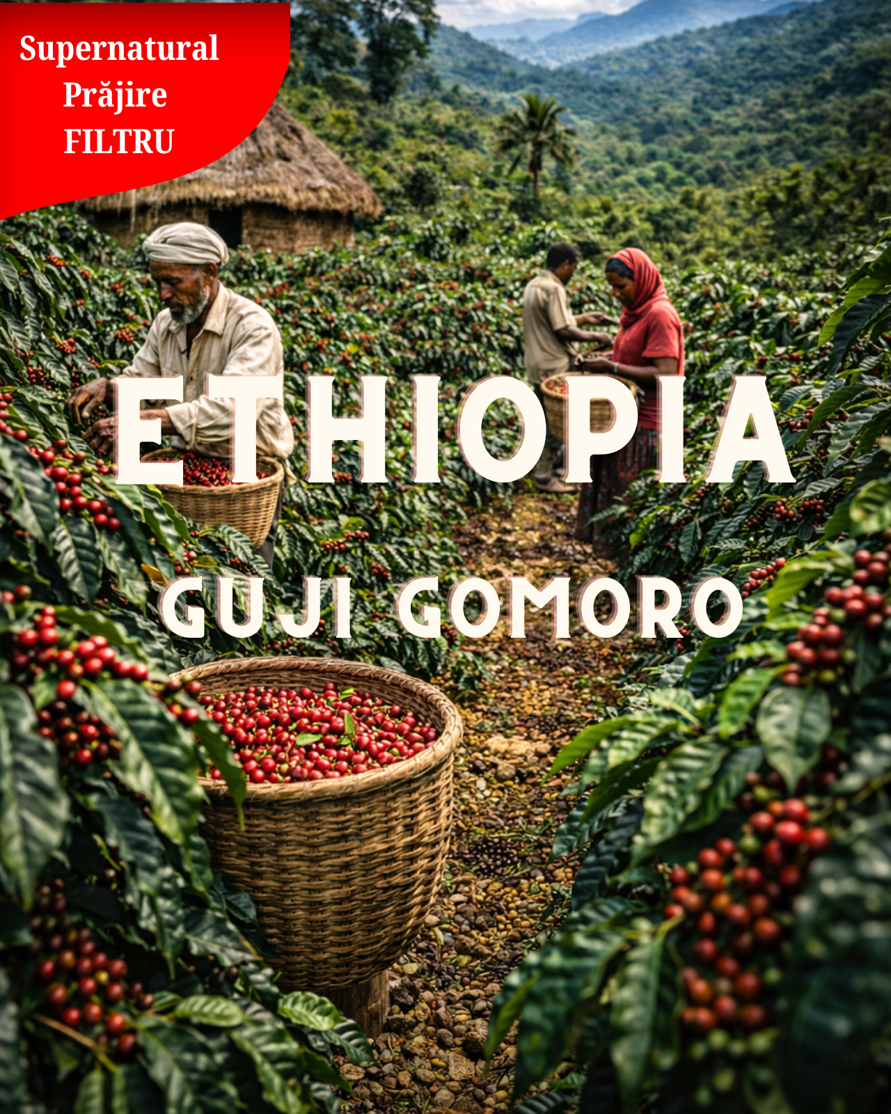 Эфиопия Guji Uraga Gomoro (Supernatural)