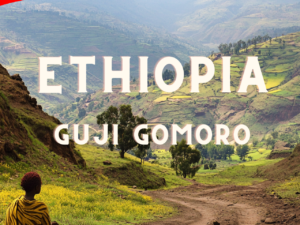 ETHIOPIA Guji Uraga Gomoro (Supernatural)