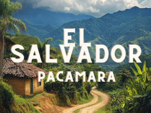 EL SALVADOR Apaneca